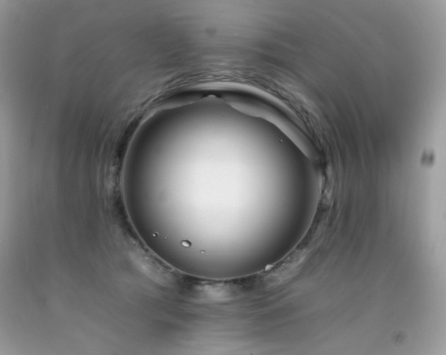 X0000092260417200709141213