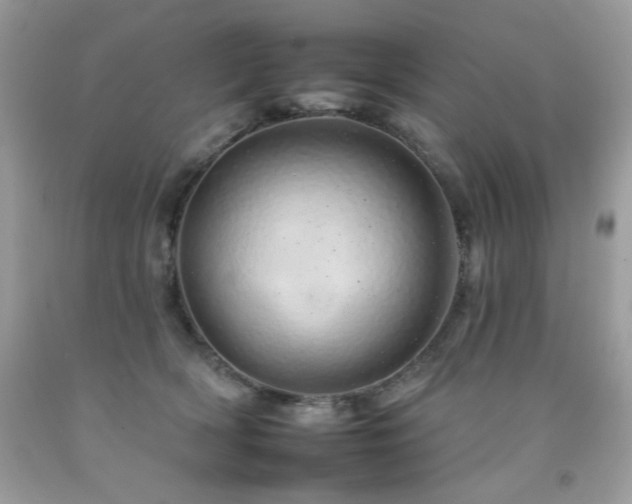 X0000092260418200709141213