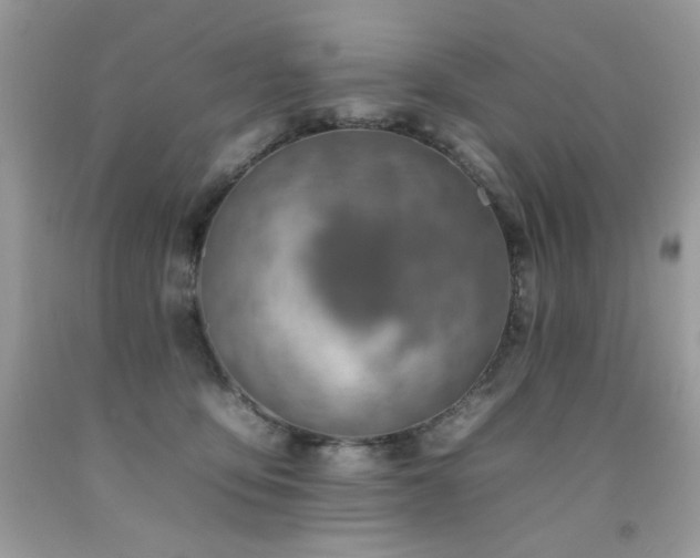X0000092260419200709141213