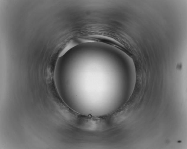 X0000092260420200709141213