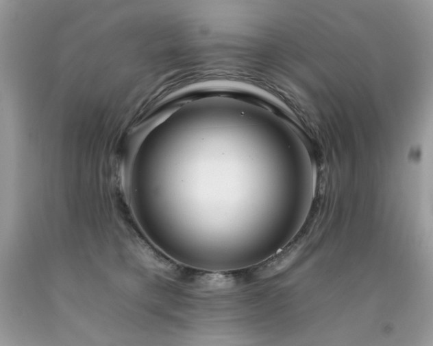 X0000092260421200709141213