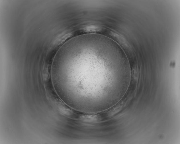 X0000092260422200709141213
