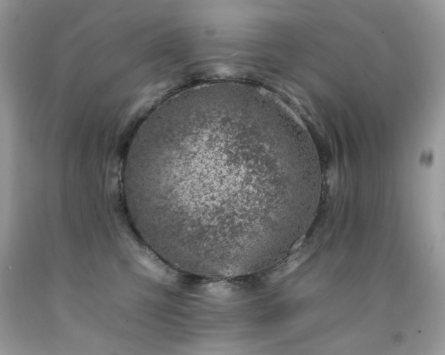 X0000092260423200709141213