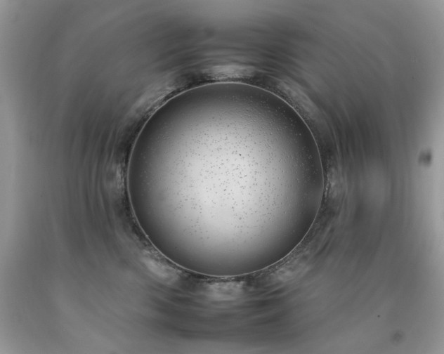X0000092260426200709141213