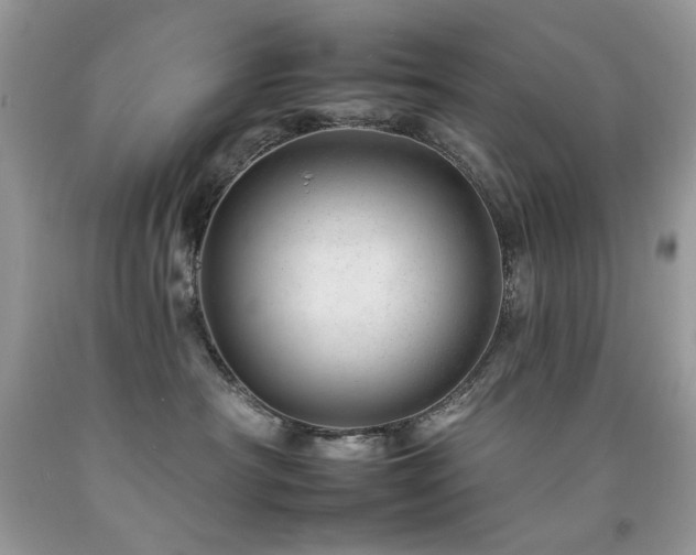X0000092260430200709141213