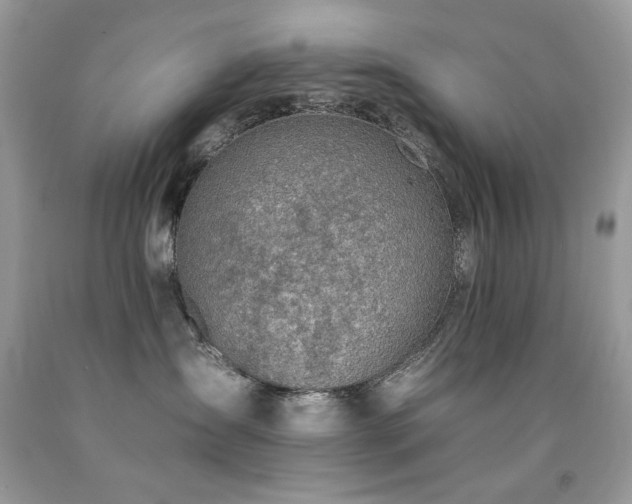X0000092260431200709141213