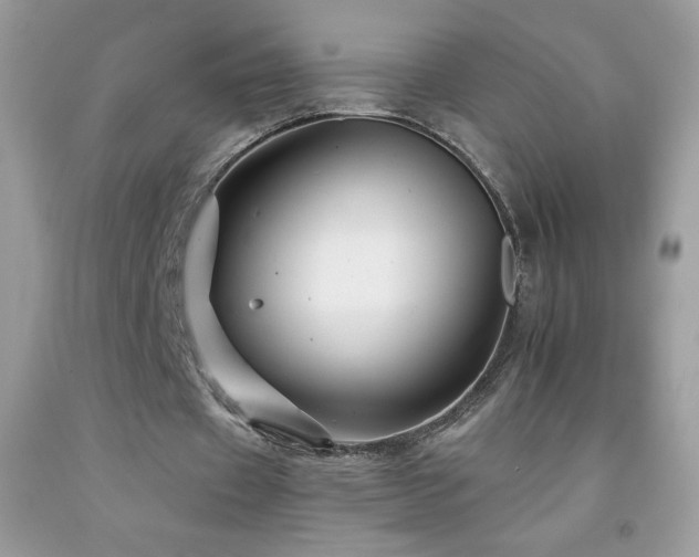 X0000092260433200709141212