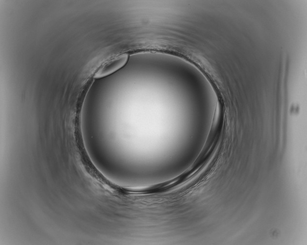 X0000092260434200709141212