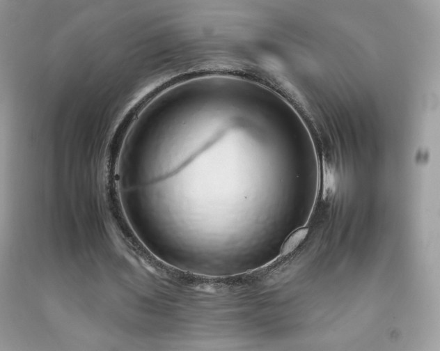 X0000092260435200709141212