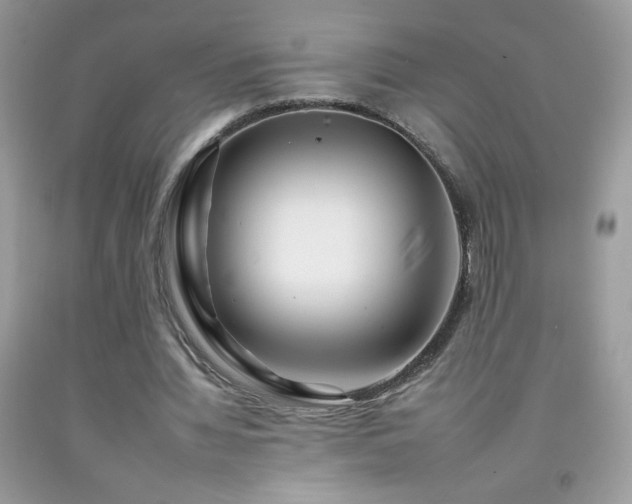 X0000092260436200709141212