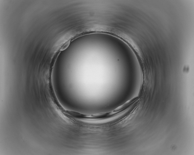 X0000092260437200709141212