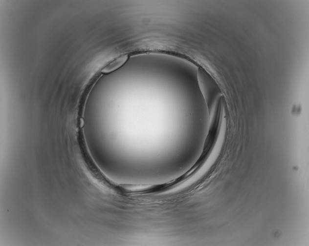X0000092260438200709141212
