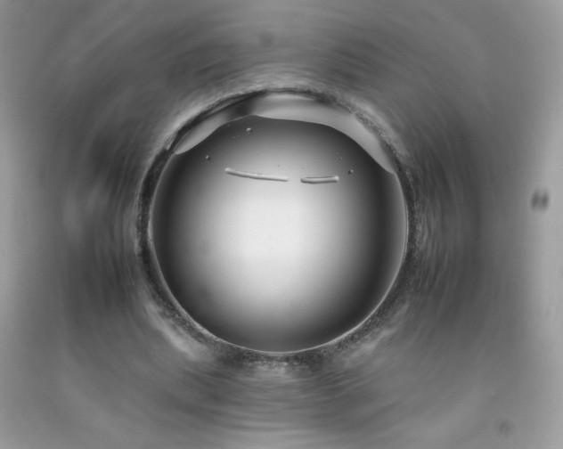 X0000092260439200709141212