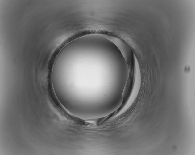 X0000092260440200709141212