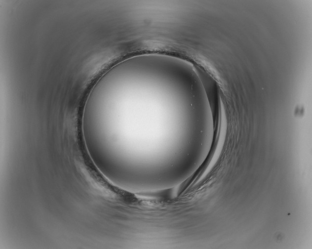 X0000092260442200709141212