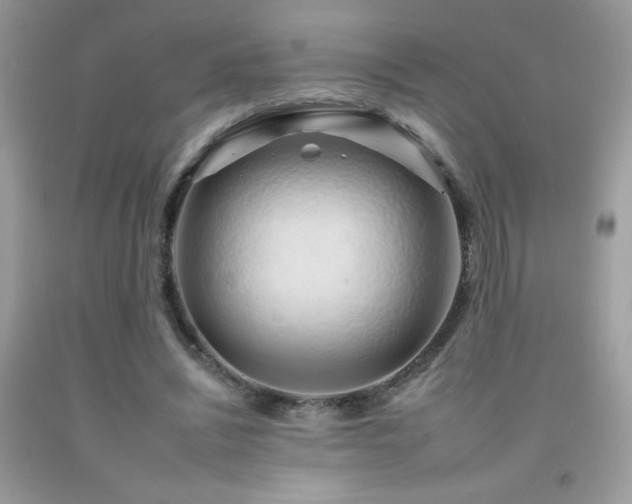 X0000092260444200709141212