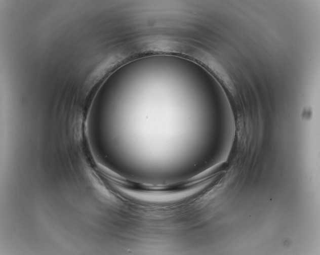 X0000092260445200709141212
