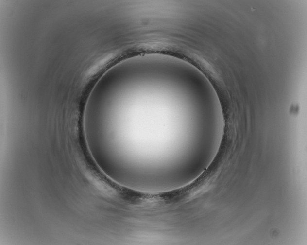 X0000092260446200709141212