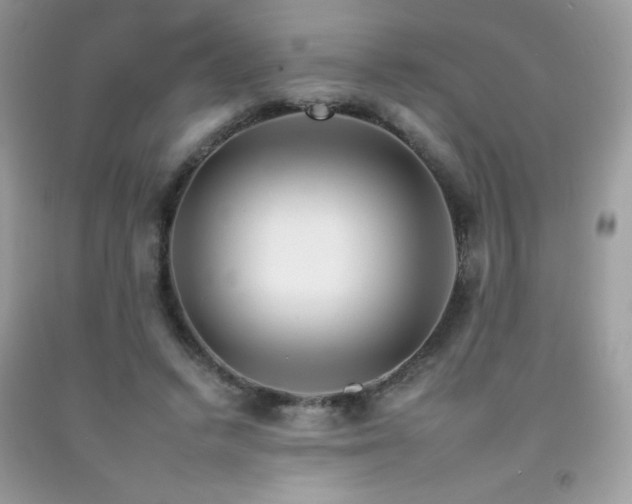X0000092260448200709141212