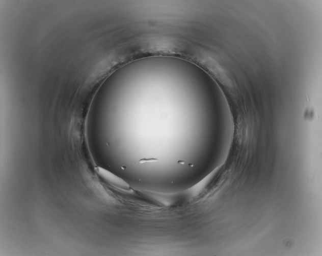 X0000092260449200709141212