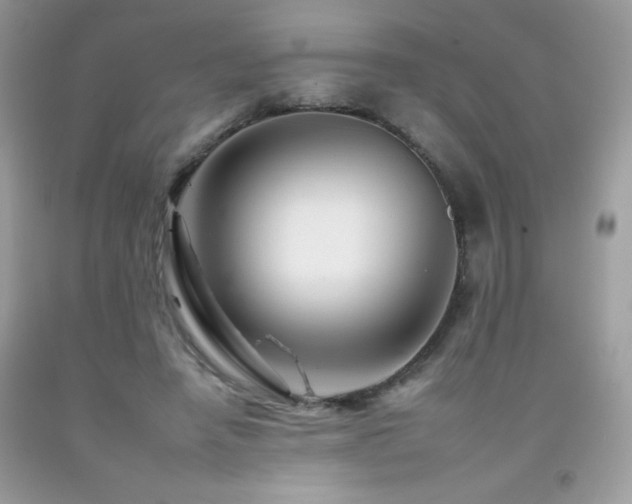 X0000092260450200709141212