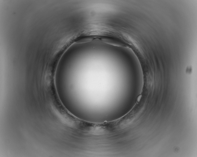 X0000092260451200709141212