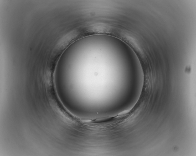 X0000092260453200709141212