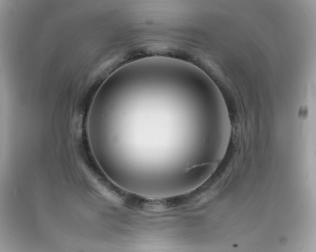 X0000092260454200709141212