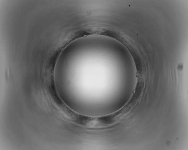 X0000092260460200709141212