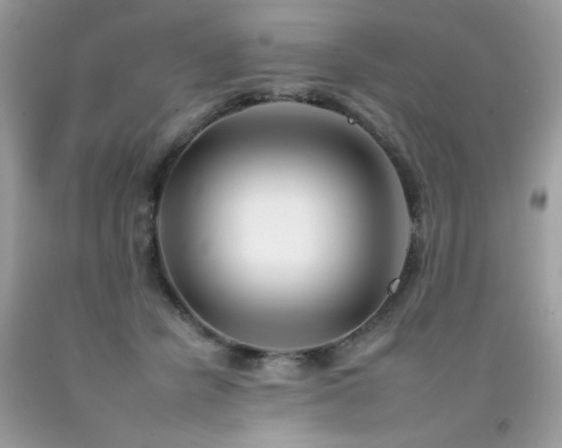 X0000092260462200709141212