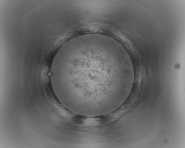 X0000092260465200709141212