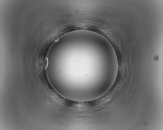 X0000092260466200709141212