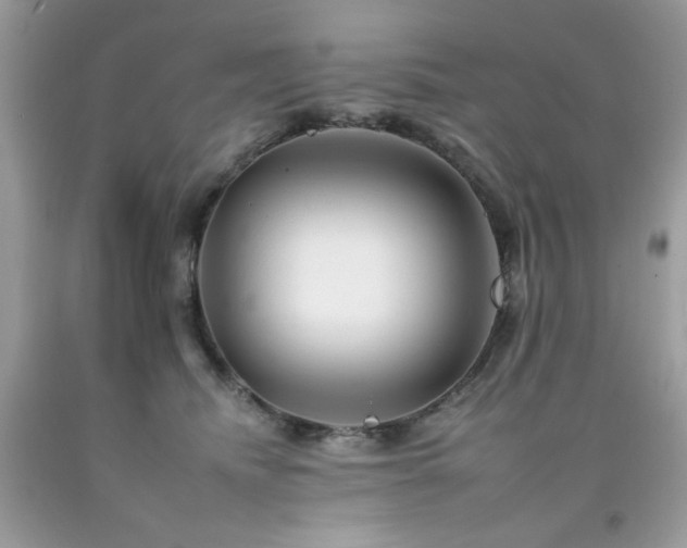 X0000092260468200709141212