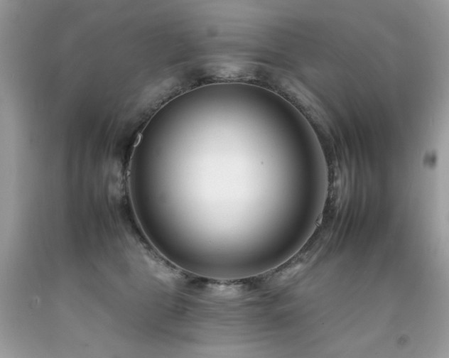 X0000092260469200709141212
