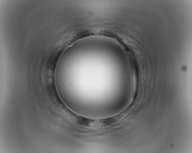 X0000092260470200709141212