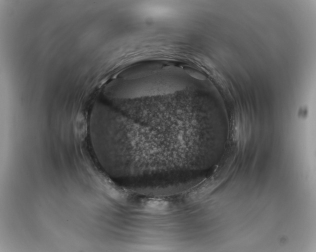 X0000092260471200709141212