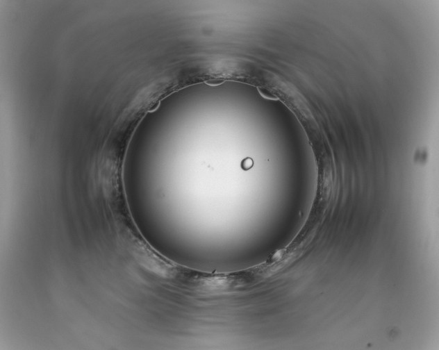 X0000092260473200709141213