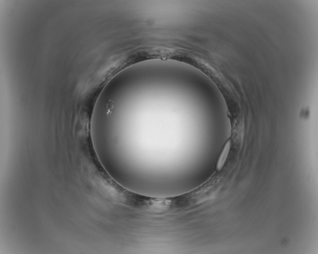 X0000092260474200709141213
