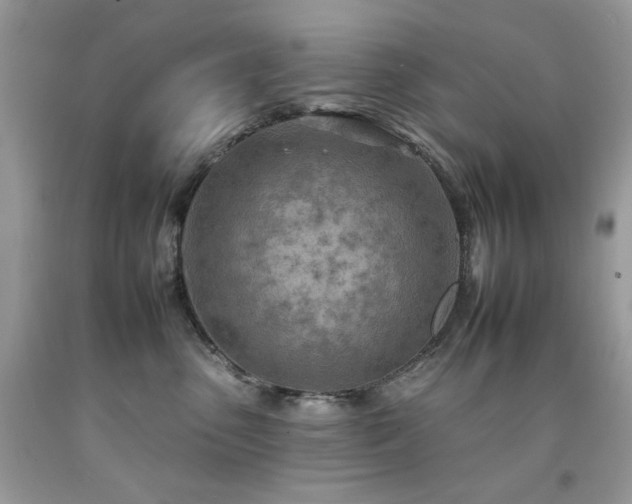 X0000092260475200709141213