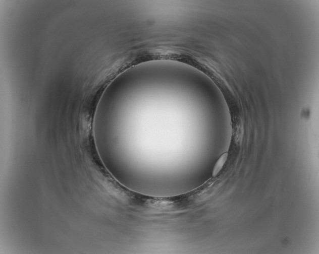 X0000092260476200709141213