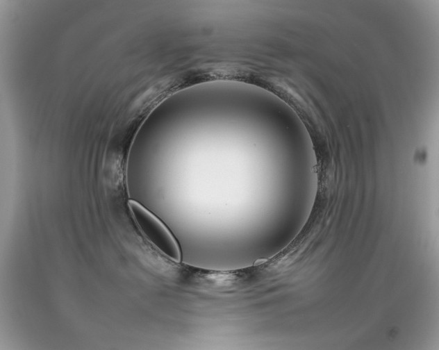 X0000092260478200709141213