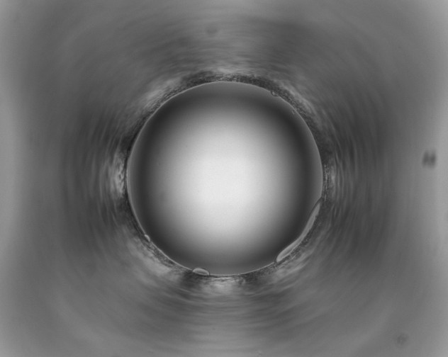 X0000092260479200709141213