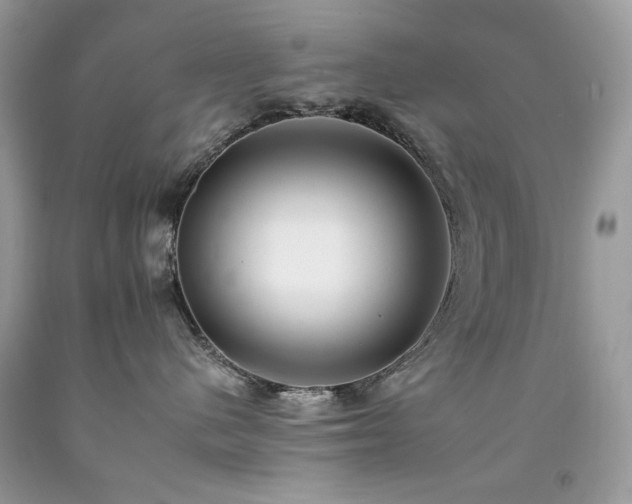 X0000092260480200709141213