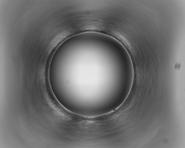 X0000092260482200709141212