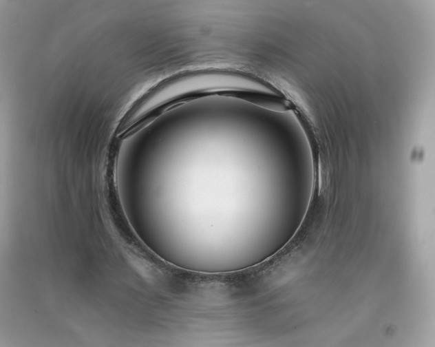 X0000092260483200709141212