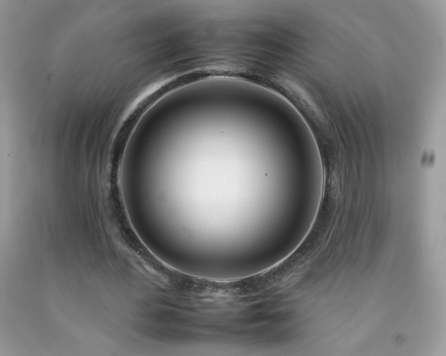 X0000092260484200709141212