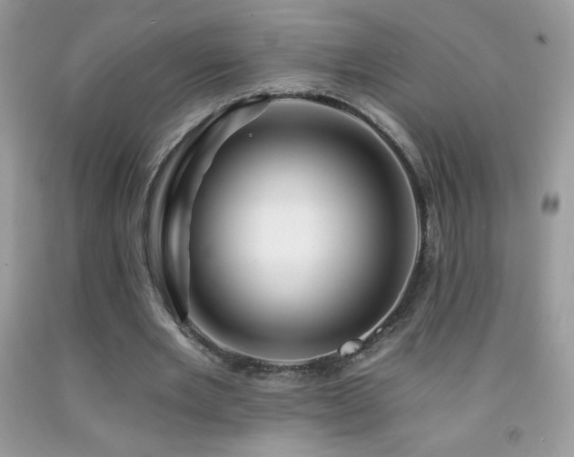 X0000092260485200709141212
