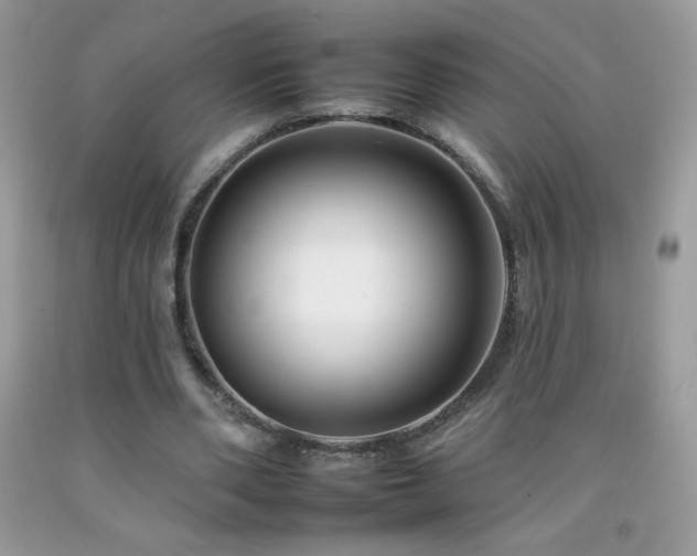 X0000092260486200709141212
