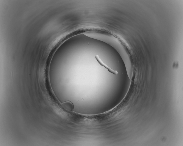 X0000092260487200709141212