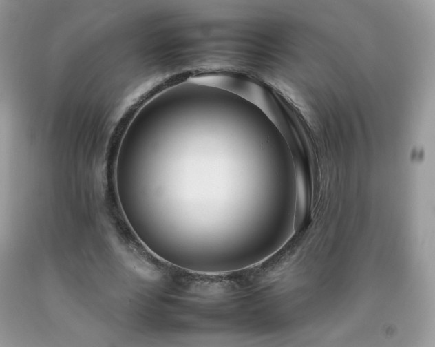 X0000092260488200709141212